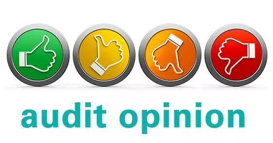 Audit opinions: How your financial statements measure up
