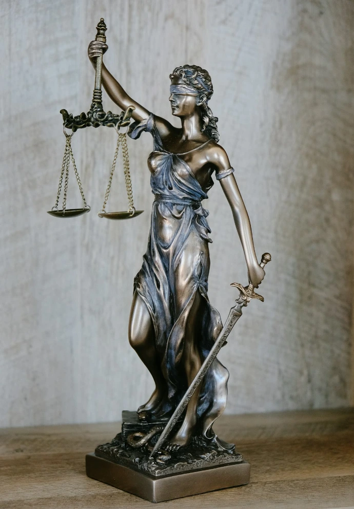 Litigation support and expert witness testimony services